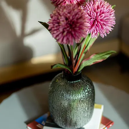 Stardust * Kalampáka